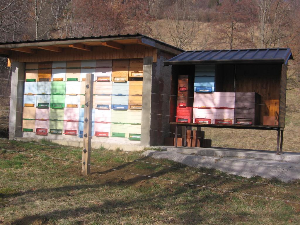 Guest House Roze Ilirska Bistrica Bagian luar foto