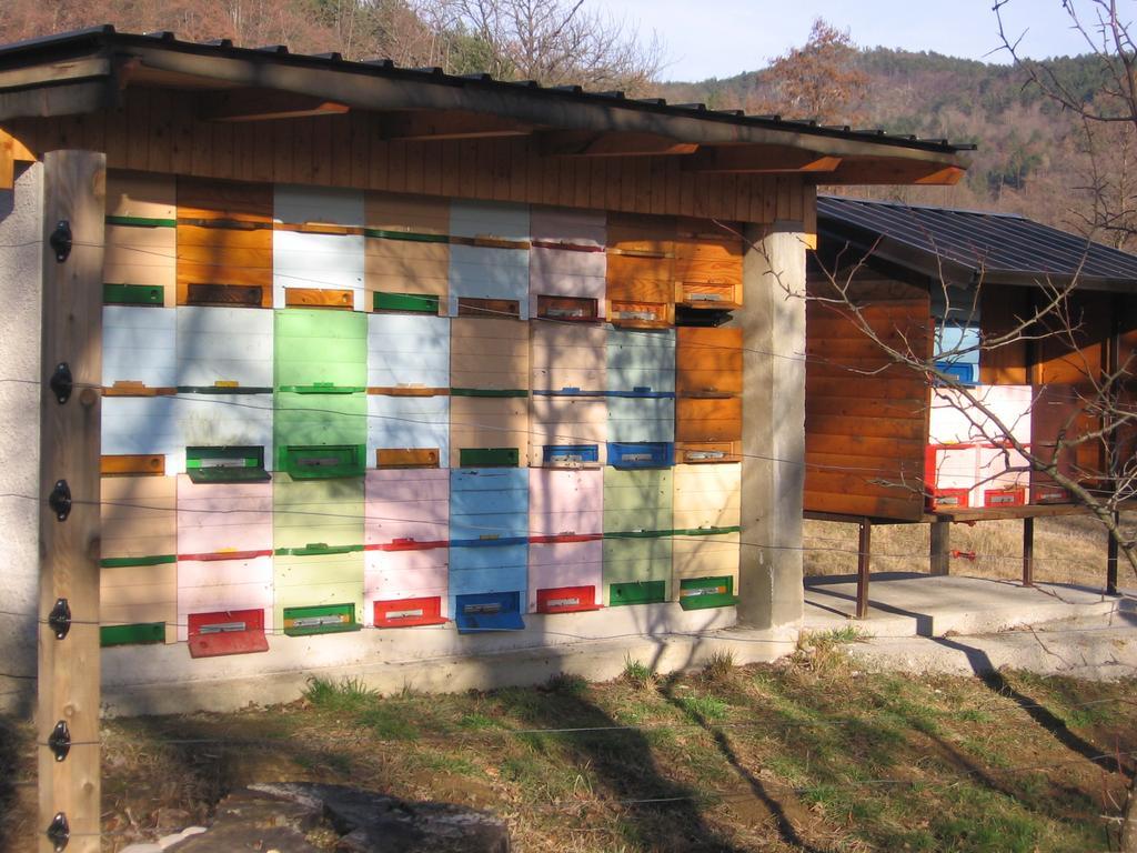 Guest House Roze Ilirska Bistrica Bagian luar foto