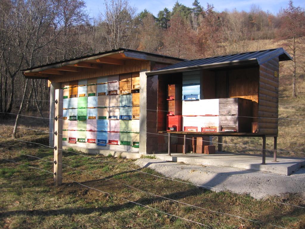 Guest House Roze Ilirska Bistrica Bagian luar foto
